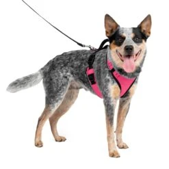 EasySport Harness 39 EasySport Harness -Best Pet Supplies c5nuogdic8dpnopltol3 a8dc9dda 2930 499e a590 2c07ed6c27dc