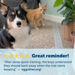 ScatMat® Indoor Pet Training Mats -Best Pet Supplies cg4iop7kj1r5ux6a7pvz adeb48a8 1e6e 4dbf 954e b50b9429d870