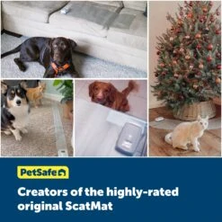 ScatMat® Indoor Pet Training Mats -Best Pet Supplies cgk8girbcv7m0w1aljxi a8d2ec9f 890f 4da0 b0d9 9a221fca6500