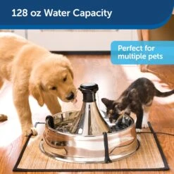 Drinkwell® Stainless Multi-Pet Fountain -Best Pet Supplies cgpnnhvjshsv2pcv8lb4 ec8de1ab 9dd9 4d02 9b76 8a130aca7b37