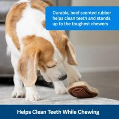 Busy Buddy® Slab O’ Sirloin 9 Busy Buddy® Slab O’ Sirloin -Best Pet Supplies clcudkx8nyydukya6mzy fc7343f7 0af0 4d18 8bdd 343aec91af78