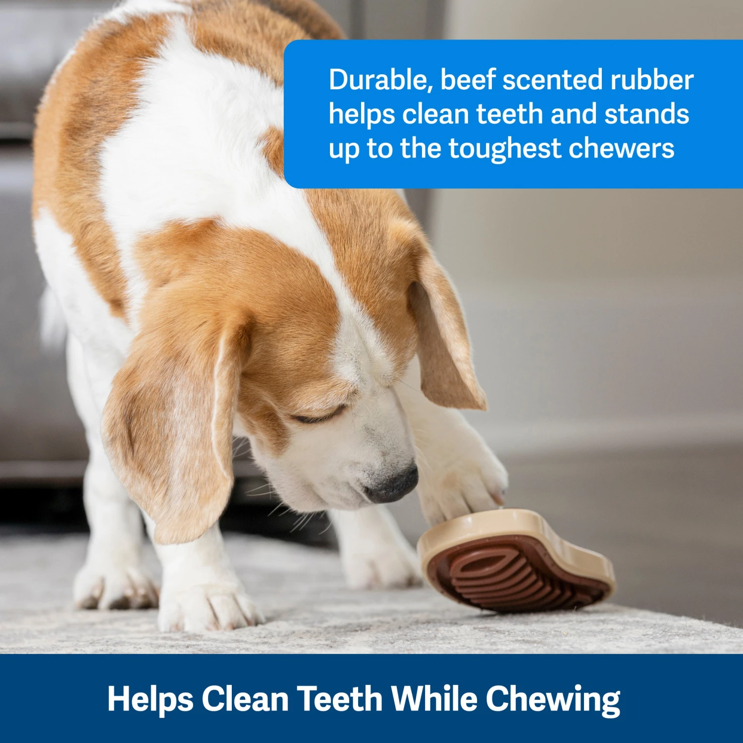 Busy Buddy® Slab O’ Sirloin 5 Busy Buddy® Slab O’ Sirloin - Image 3