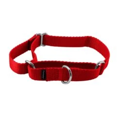 Martingale Collar -Best Pet Supplies d55vhlu6jntpwapd3xsl 11a4ad24 cd1b 482f b38a 788c7f915564
