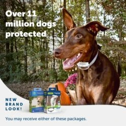 Classic In-Ground Fence™ Rechargeable Receiver 13 Classic In-Ground Fence™ Rechargeable Receiver -Best Pet Supplies ddlouoejxjgsmkgstumf 3238cbcc 4fdd 462f a42d 0e47e568c0d7