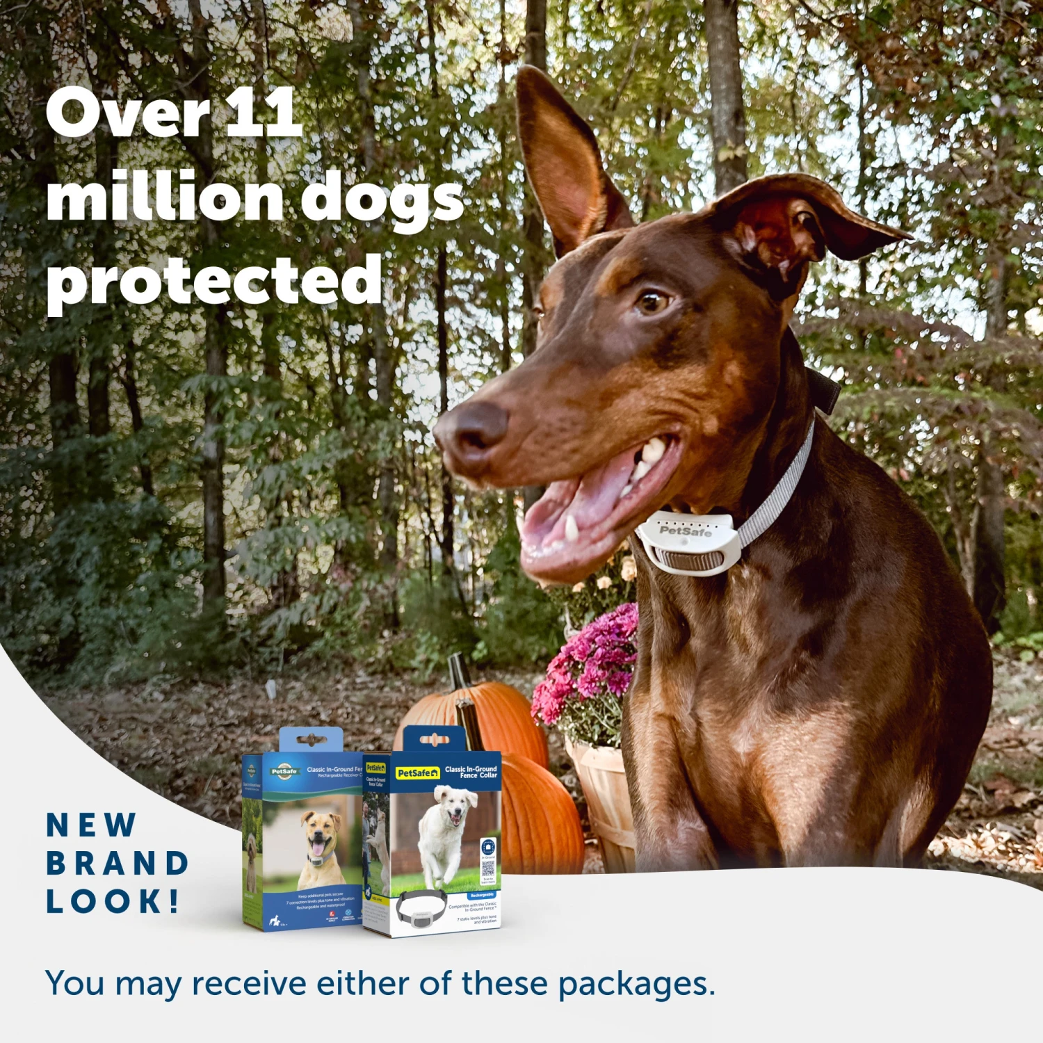 Classic In-Ground Fence™ Rechargeable Receiver 8 Classic In-Ground Fence™ Rechargeable Receiver - Image 6