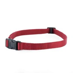3/4" Rust Replacement Collar Strap With No Holes -Best Pet Supplies dedfp9ylzaojgbl6jna3 fb9acbc9 a08a 45ab a76d d3f1cff93b0c