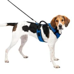 EasySport Harness 29 EasySport Harness -Best Pet Supplies djhza51nldua0f5kp0yj 31735892 6a3f 4fb2 993c 7ac22a95120e