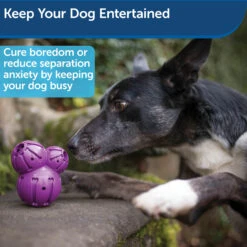 Busy Buddy® Barnacle -Best Pet Supplies dvgehaqi4s6qlakgkdag 0f89426e 9a26 4021 8390 dc40a49eff0a