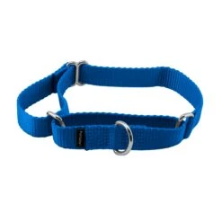 Martingale Collar -Best Pet Supplies e2lqfcbds7zyyhizy5qb 01648158 2654 407f 8650 f7562f456073
