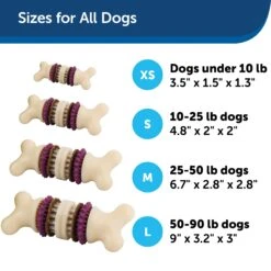 Busy Buddy® Bristle Bone® -Best Pet Supplies e3gguwelxrkg7dva9be7 d647a484 db34 4f0c 8326 a54abb06a53d