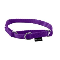 Martingale Collar -Best Pet Supplies ehw1jpqxw23ynrpf2ckb 6031a924 64cf 45fc 8d59 b2f25cc30c07