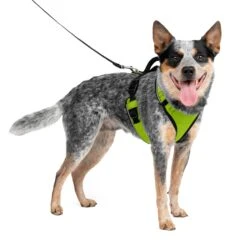 EasySport Harness 33 EasySport Harness -Best Pet Supplies ei2p9fquz2ueljzxp0dj b61b611d bc54 4c1b 93fc c95c68ea5f2f