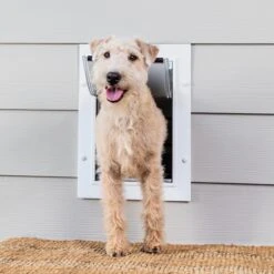 Wall Entry Pet Door™ -Best Pet Supplies ej64nmw71xqwhae81gpf fbca6d78 227a 46e2 9b8b 344f4622385a