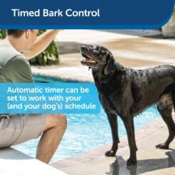 Elite Outdoor Bark Control 10 Elite Outdoor Bark Control -Best Pet Supplies el2whlywaqsnqs9fve7c f6224d6e 8c45 480c 810e 6799c917816e