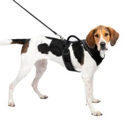 EasySport Harness 28 EasySport Harness -Best Pet Supplies epme7riiyk6tti0jatae 8055740d ea26 4c07 b23d 85f310089117