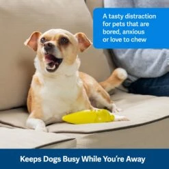 Frosty Cone -Best Pet Supplies ezl5x2gpm2ue8aalksex 9c0f0132 7385 4422 abd7 db0cadb3acf2