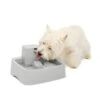 Drinkwell® 1 Gallon Pet Fountain -Best Pet Supplies f5hk1j8lmhrrkhvmhz5m 8955acdc da8f 469a ac3a 8fd9f4eccbc6