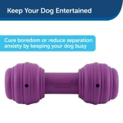 Busy Buddy® Chuckle™ -Best Pet Supplies fkkcpnnqcbhlp4paaxw6 c70eee75 35e7 4871 a534 51fa59394654