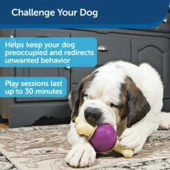 Busy Buddy® Bouncy Bone™ -Best Pet Supplies fncjnmviukuq1pvd1ujb abf7a4e9 31d2 4e90 a903 20adfa070afe