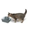 Drinkwell® Seascape Pet Fountain -Best Pet Supplies fp9lsf2tyvf0oufgwvhv 2f8ff5c4 f251 464f bfa7 e7f91dbd629a