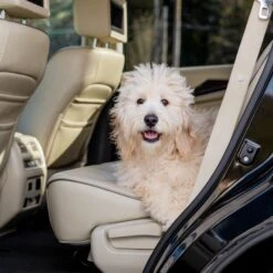 Happy Ride® Dog Ramp Adaptor -Best Pet Supplies fwzchpyjt3hqdnvimxsu d22a78c8 3ecc 49cd ac51 271be2b7be35