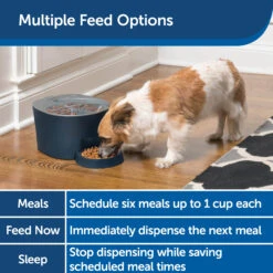 Six Meal Feeder -Best Pet Supplies fxrxrtylruatfqa0xx46 a07f6585 a4ca 41d3 891e 71260b136fa7