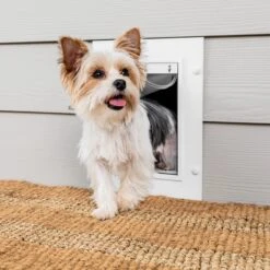 Wall Entry Pet Door™