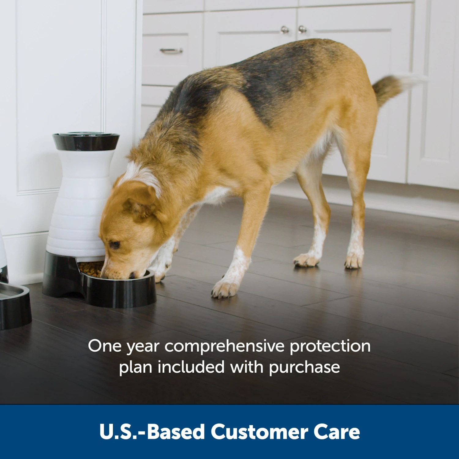 Healthy Pet Food Station™ 9 Healthy Pet Food Station™ - Image 7