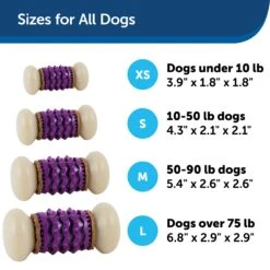 Busy Buddy® Nobbly Nubbly™ 16 Busy Buddy® Nobbly Nubbly™ -Best Pet Supplies gscveiil29h1l72dnhwz 4b4d5929 717f 42a2 9b3c 681d18042916
