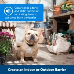 Pawz Away® Extra Receiver Collar 12 Pawz Away® Extra Receiver Collar -Best Pet Supplies gujikfhnkhpwyo8bnoqc 8d3284de 6f96 4c0b 8ef3 803f6bd6adb2