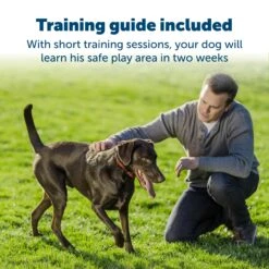 Stay & Play® Wireless Fence Receiver Collar For Stubborn Dogs -Best Pet Supplies gwae83qhquwcvdsubxmu