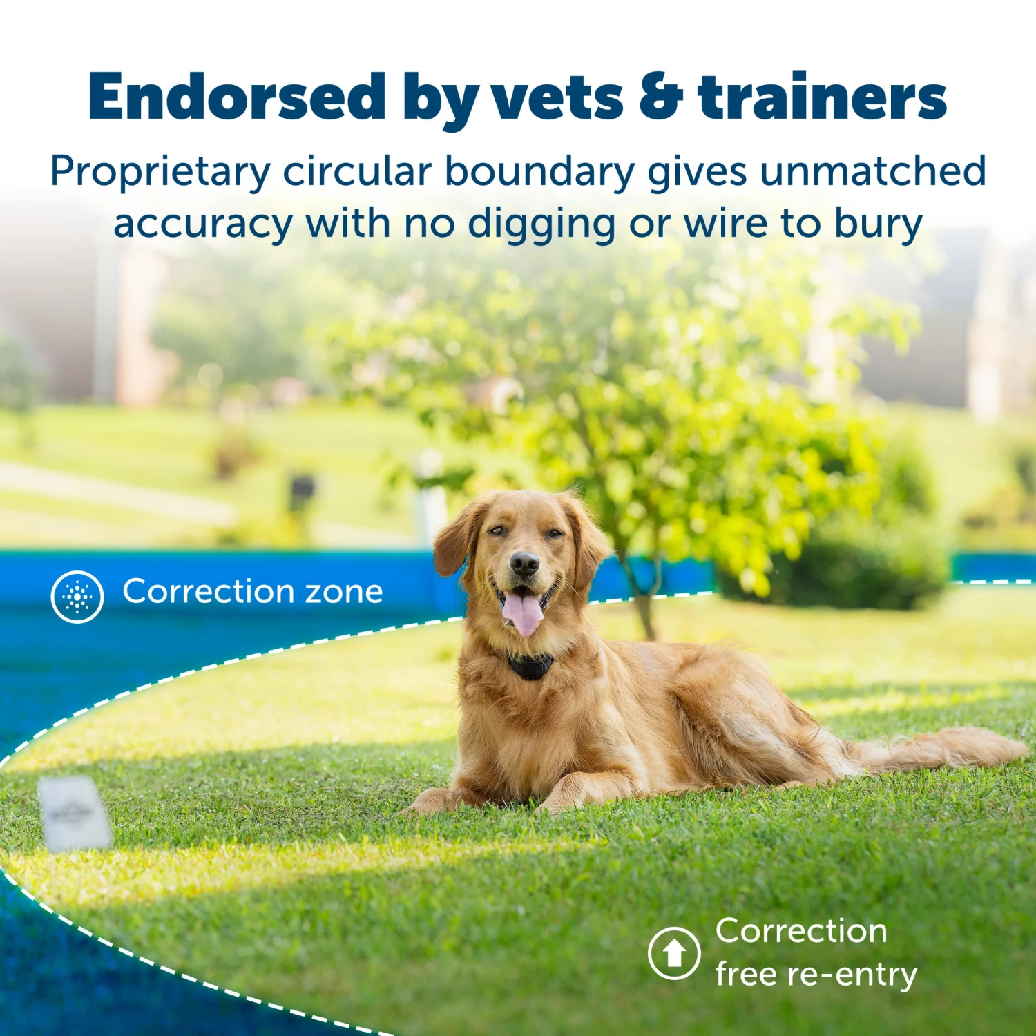 Stay & Play® Wireless Fence With Replaceable Battery Collar 4 Stay & Play® Wireless Fence With Replaceable Battery Collar - Image 2