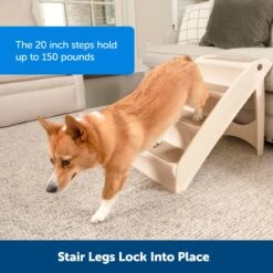 CozyUp™ Folding Pet Steps -Best Pet Supplies h8a6smeqfzrpqyvpihns 05144360 e072 4b41 abd5 75160ce26756
