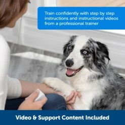 Teach & Treat Remote Reward Trainer -Best Pet Supplies hc0aiud9shzuj5edxpnq c327b536 5328 403d b5eb 403ff687d96f