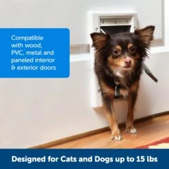 Plastic Pet Door -Best Pet Supplies hhjbr2yog13pcnehwy7o a8a3ce56 16bf 4a93 818c d4c9ef0b43a8