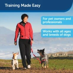 Treat & Train™ Remote Reward Dog Trainer 12 Treat & Train™ Remote Reward Dog Trainer -Best Pet Supplies hmb6bso1c1ocrhlfya47 2d784301 84da 41eb 82ce 593b41ddf7b6