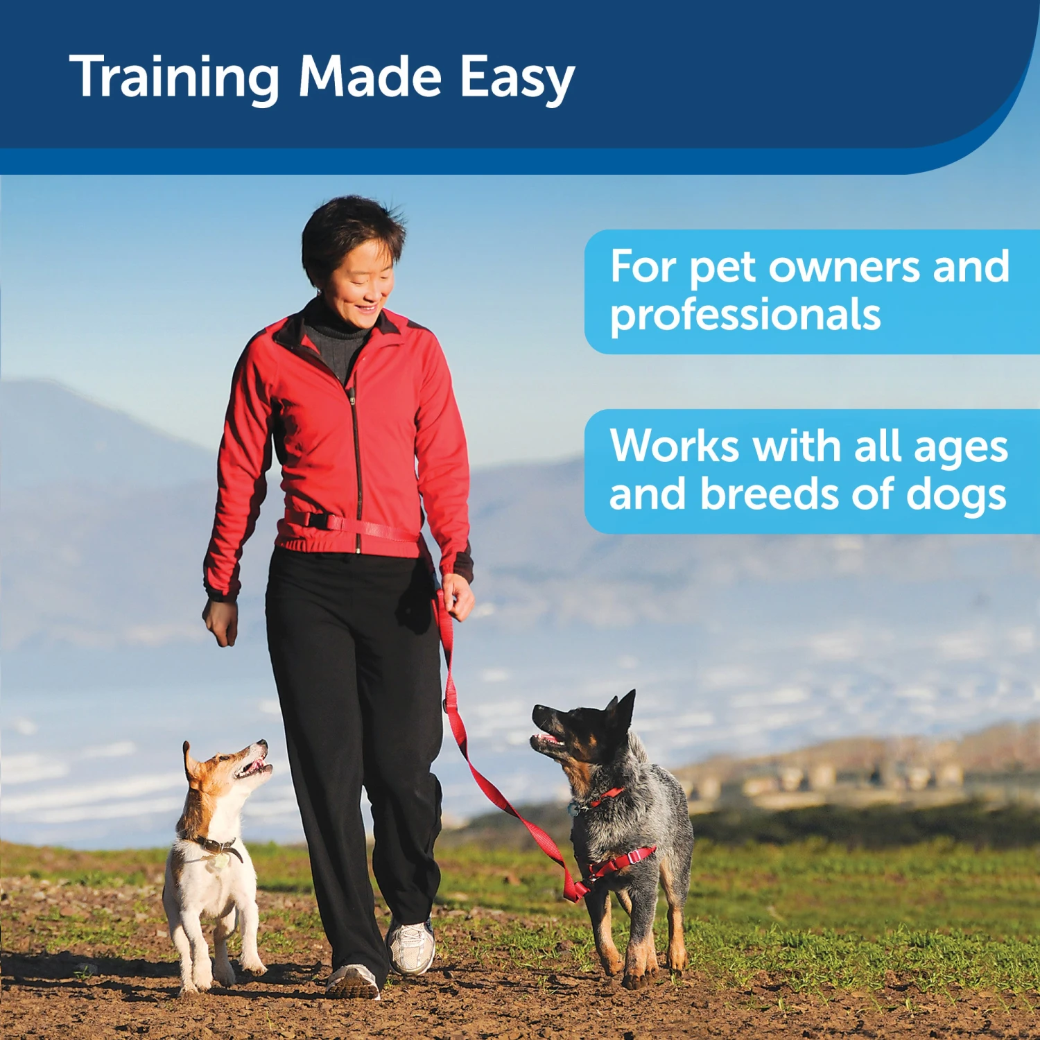 Treat & Train™ Remote Reward Dog Trainer 7 Treat & Train™ Remote Reward Dog Trainer - Image 5