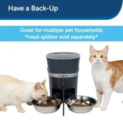 Stainless-Steel Bowl -Best Pet Supplies hzusraywzn4ip3mo0dd7 179330cf aa8c 4ce8 b5d5 0993ef787c25