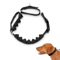 Soft Point Training Collar 14 Soft Point Training Collar -Best Pet Supplies io5ckkldnowr0rmfhs5r b2ef82b0 7857 4620 939e b072c9409335