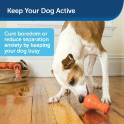 Squeak 'n Treat Booya -Best Pet Supplies iqoay7m5i0twajoffcve 3977a620 f7d5 4743 8cb9 94e7164a9d6c