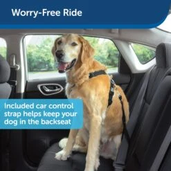 3 In 1 Harness With Two Point Control Leash -Best Pet Supplies jdznwtats58nxrov81ze bf74d353 047b 4aae 850c 203754bb527e