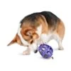 Busy Buddy® Kibble Nibble™ -Best Pet Supplies jlzhlqcjbfr04xnqrkaz 237d3580 ba01 4a7b a5fb 462b710c87df