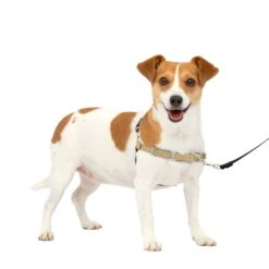 Easy Walk® Harness, No Pull Dog Harness -Best Pet Supplies jsaq9urwqdg8rdojz0ql c855c29c 6aeb 4cb9 98a6 65d9e5991116