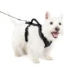 EasySport Harness -Best Pet Supplies jztzscw8lvzsfj9qok0l 4d5999ff e1cb 4a1c a81e 96b4bf87e7f5