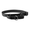 Martingale Collar -Best Pet Supplies k2kwfi65xpoaa6fdhcix cc6ce93e dbad 4d20 95d5 36ba7fd7b784
