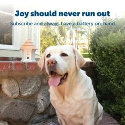 Replacement 9-Volt Battery For In-Ground Fence Collar -Best Pet Supplies kafext7duardbejkuyht