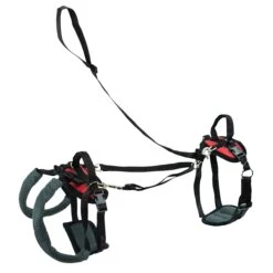 CareLift™ Support Harness -Best Pet Supplies khsjo7hxl18exis6jlxe 32685fcc 3300 4a3c 889e 8ed3e1dc0121