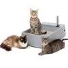 Multi-Cat Litter Box 2 Multi-Cat Litter Box -Best Pet Supplies kncbgbnx1rmfxj438ktd b97d89ec cb7d 4049 b036 c835fc92e5d9