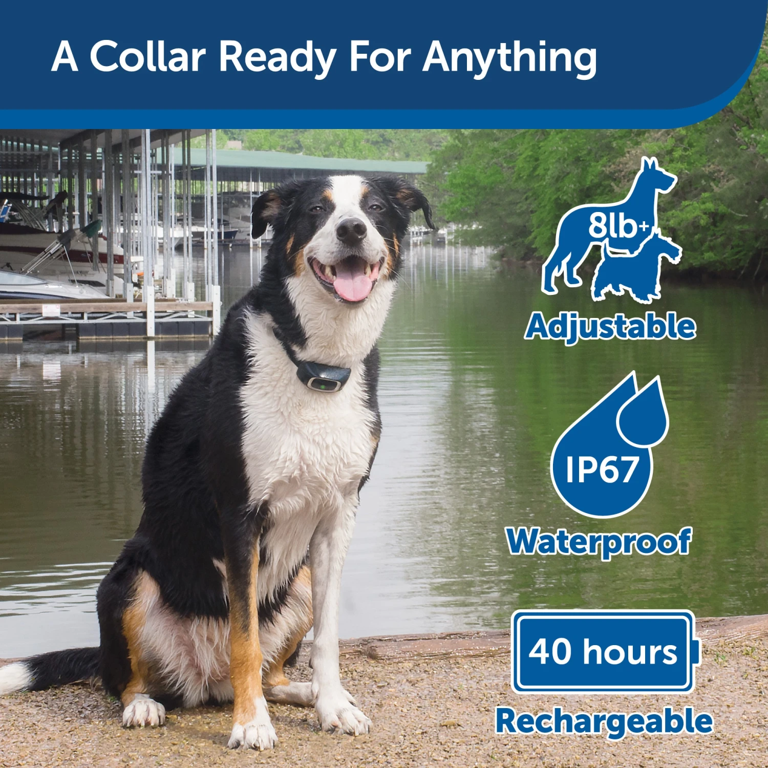 Remote Trainer Add-A-Dog Collar 4 Remote Trainer Add-A-Dog Collar - Image 2