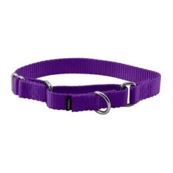 Martingale Collar -Best Pet Supplies kujkosf7bzvireczbxms bc247f18 3693 4b37 ada6 d859883f4fa8